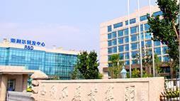 內蒙古大興安嶺農墾管理局領導到集團參觀考察