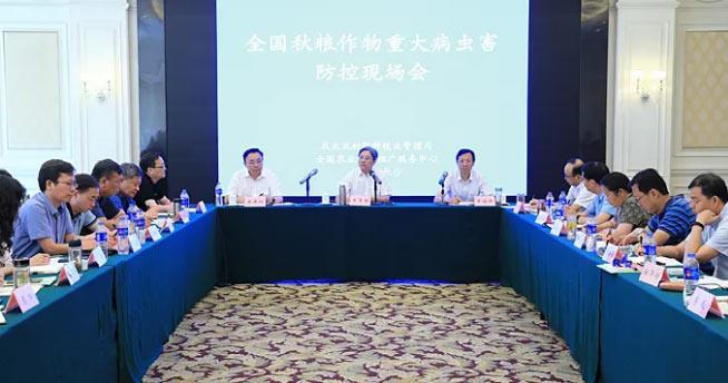 農業農村部部署秋糧作物重大病蟲害防控工作
